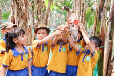 Quy định về quản lý và tổ chức dạy học online trong cơ sở GDPT và cơ sở GDTX