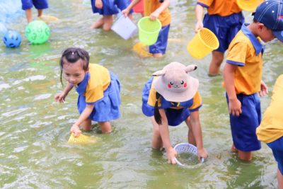 Thông báo Mời phụ huynh tham gia “Một ngày hoạt động tại trường mầm non”